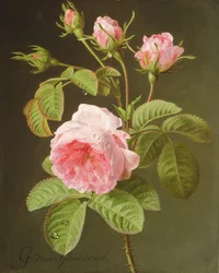 Ein Zweig Rosen